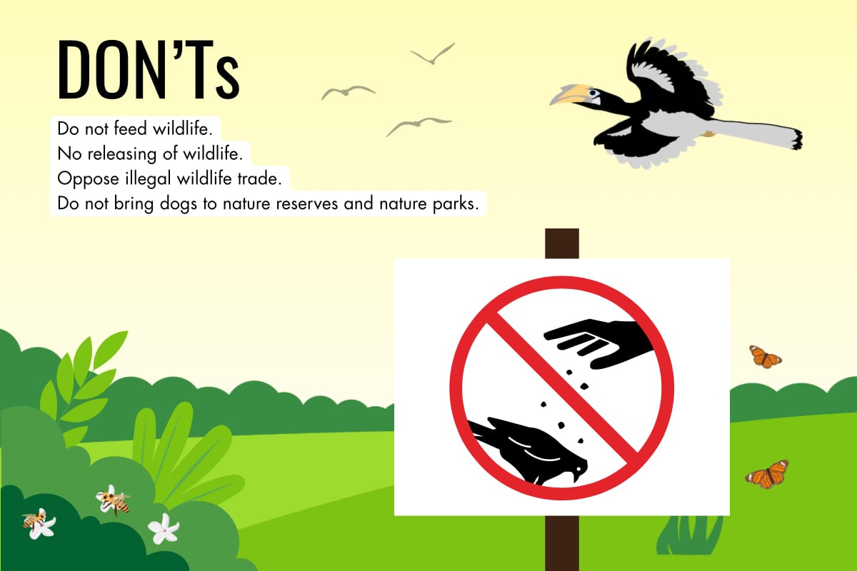Don'ts of encountering wildlife
